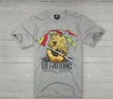 Camisas BillaBong